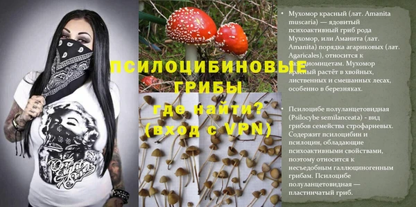 бошки Алексеевка