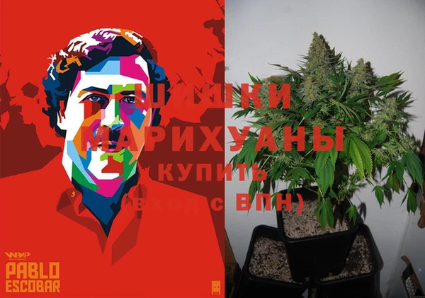 PSILOCYBIN Алексин