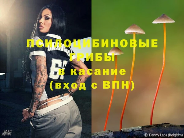 PSILOCYBIN Алексин
