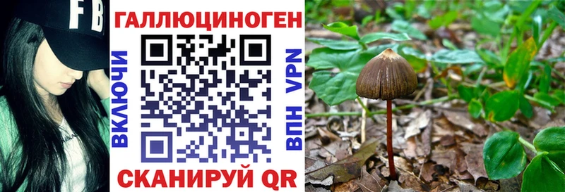 Галлюциногенные грибы мицелий  хочу наркоту  Пенза 