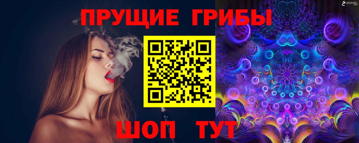 Пенза  Псилоцибиновые грибы мицелий  Псилоцибиновые грибы Psilocybine cubensis  Вход с VPN 
